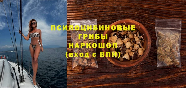apvp Медногорск