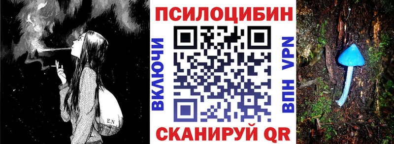 купить  сайты  мега как войти  Псилоцибиновые грибы Psilocybe  Новосокольники 